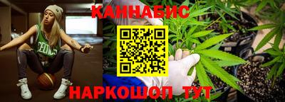 сатива Гудермес
