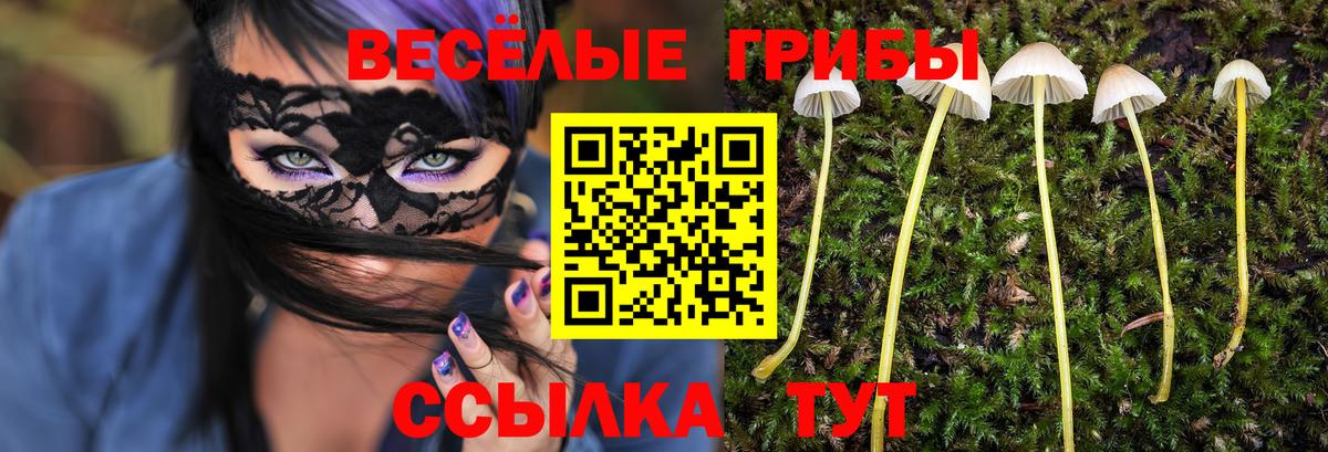 Галлюциногенные грибы Cubensis Белгород