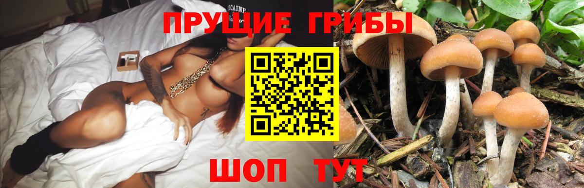 Белгород  купить наркотики цена  Вход с VPN  Псилоцибиновые грибы Psilocybe  Галлюциногенные грибы Psilocybine cubensis 