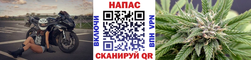 Марихуана Bruce Banner  blacksprut зеркало  Белгород  магазин продажи наркотиков 